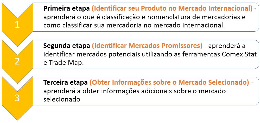 Tutorial-Pesquisa-de-Mercado-Etapas.jpg