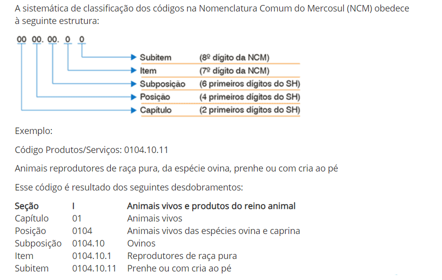 Estrutura_NCM