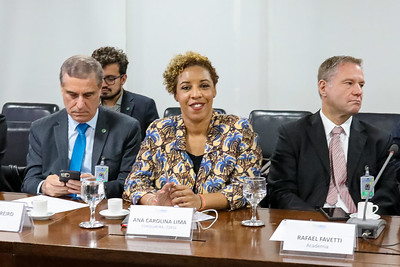 Conselheira Ana Carolina Lima durante reunião do Conselhão. Valdenio Vieira/ASCOM/SRI