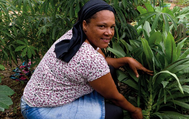 Lourença vende parte da produção de frutas e verduras por meio do Programa de Aquisição de Alimentos (PAA) / Crédito: MDS 