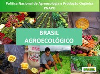 07.05.2013 - Congresso promove seminário sobre Agroecologia  e Produção Orgânica