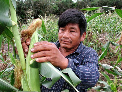 Até agosto, serviços chegarão a 300 famílias do Amazonas / Foto: Divulgação / MDA 