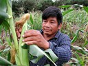 Até agosto, serviços chegarão a 300 famílias do Amazonas / Foto: Divulgação / MDA 