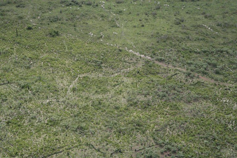 Foto: Silvano Fernandes/Funai