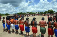 21.03.2014 - Governo Federal inicia nova retirada de invasores da Terra Indígena Marãiwatsédé no Mato Grosso