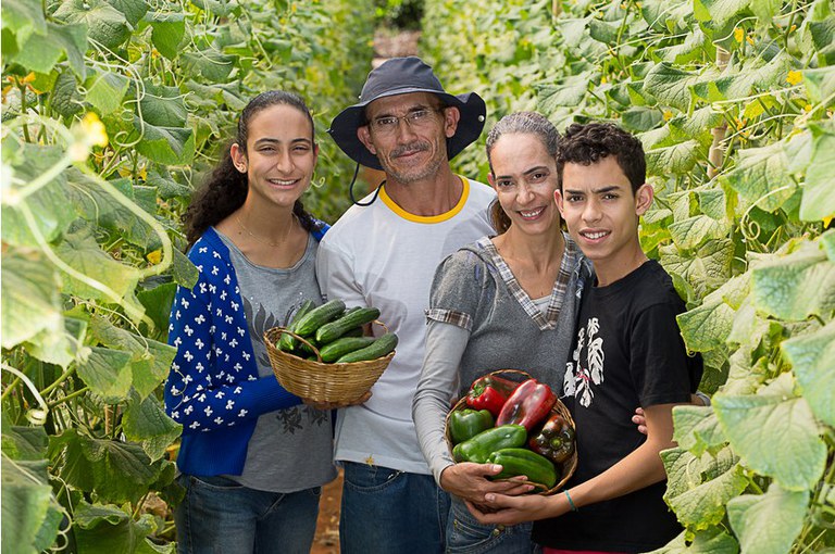 Em 20 anos, o Pronaf transformou a vida de mais de 2,6 milhões de famílias