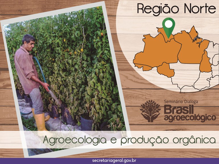 Opção pela agroecologia é determinante no sucesso da produção de alimentos em Roraima