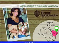 11.09.2015 - “Não tem agricultor que prefira método de defesa com veneno”, diz produtora de algodão orgânico na Paraíba