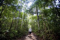 Governo divulga  Relatório Nacional Voluntário sobre os Objetivos de Desenvolvimento Sustentável