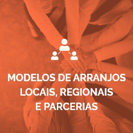 Modelos de Arranjos locais, regionais e parcerias