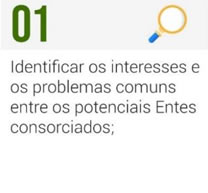 Identificar os interesses e os problemas comuns entre os potenciais Entes consorciados;