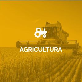 Agricultura