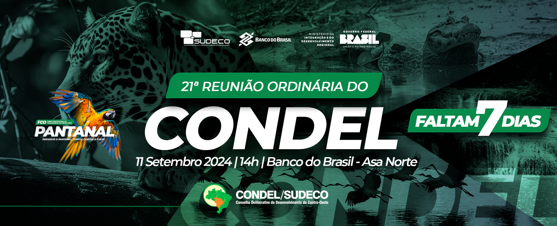 BANNER_SITE_7_DIAS.png