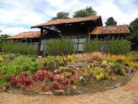 Jardim Botânico-DF