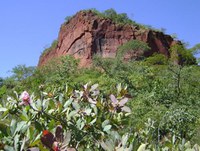 São José do Povo - MT