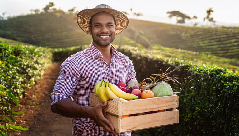 Agricultura Nordeste