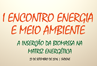 Evento discute inserção da biomassa na matriz energética