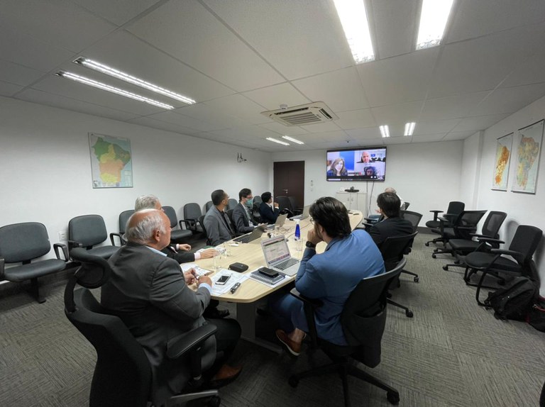 Reunião por videoconferência