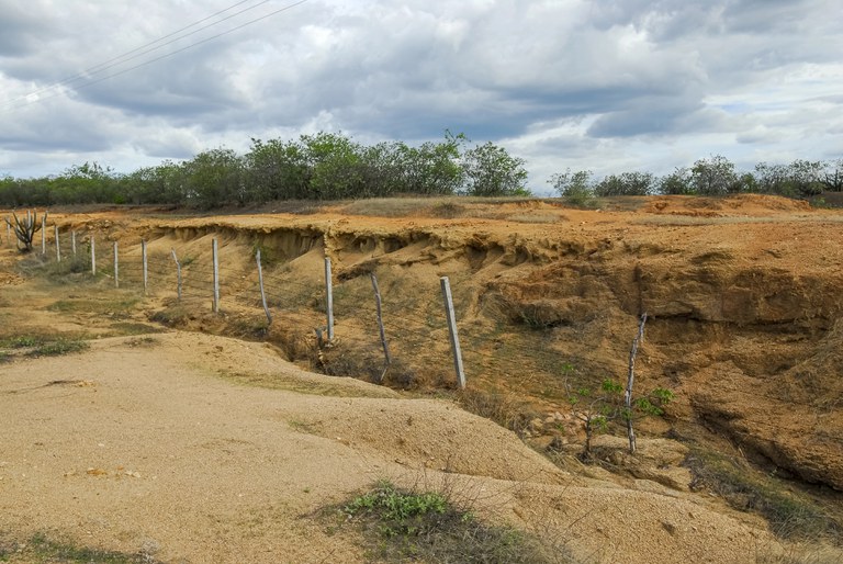 Sudene e parceiros institucionais iniciam revisão dos Planos Estaduais de Combate à Desertificação