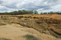 Sudene e parceiros institucionais iniciam revisão dos Planos Estaduais de Combate à Desertificação