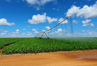 Sudene visita áreas de agricultura irrigada de MG