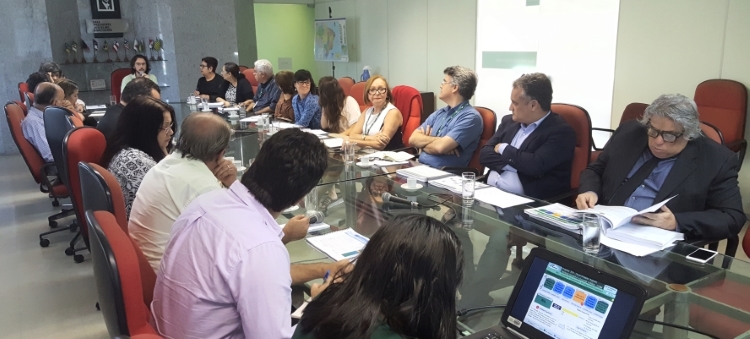 Foto retrata uma reunião com vários profissionais da Sudene. Há cerca de 20 pessoas sentadas em volta de uma mesa de vidros. Alguns estão falando ao microfone.