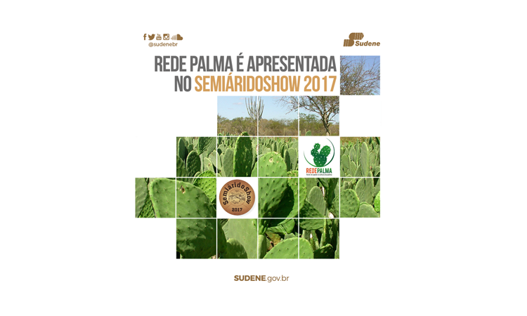 Ilustração com fotos diversas da palma (vegetal). Na parte superior das imagens tem a seguinte frase: "Rede palma é apresentada no SemiárdioShow 2017"