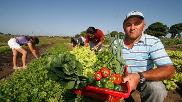 FNE Coopera atenderá cooperativas de forma inédita em 2025