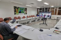 Capda aprova financiamento de duas pesquisas do CBA pelo CT-Amazônia