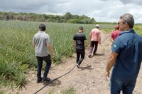 CBA reúne parceiros para induzir cadeia de fibras vegetais no Novo Remanso