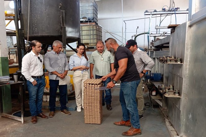 Suframa visita empresa de Tabatinga-AM produz cartelas de ovos a partir de materiais recicláveis