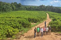 Fazenda Progresso serve de modelo para a implantação da agroindústria no DAS