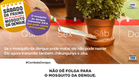 Não dê folga para o mosquito da dengue