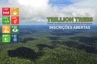 Projetos inovadores de bioeconomia amazônica podem receber incentivo internacional