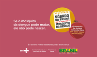 Se o mosquito da dengue pode matar, ele não pode nascer