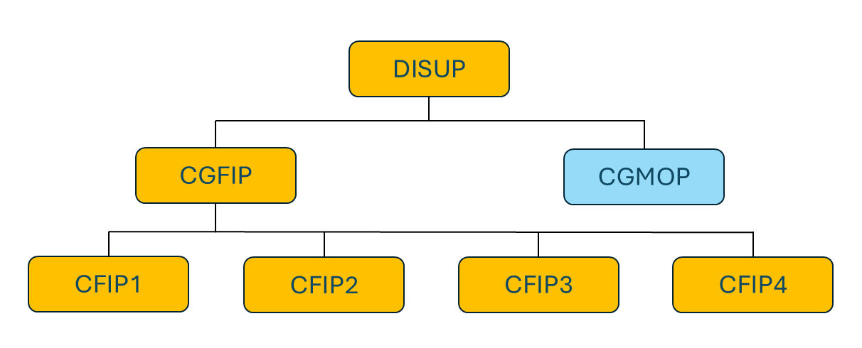 Apresentação ESTRUTURA CGFIP.v2.png