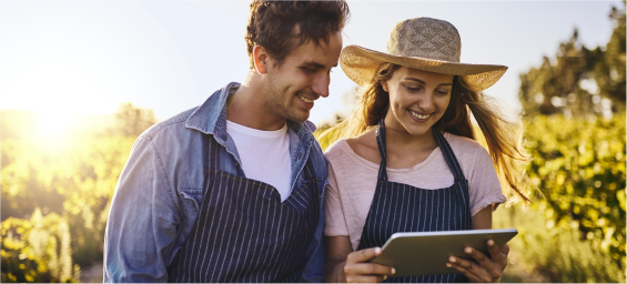 Programa Trabalho Sustentável: Diálogo social, trabalho decente, conduta empresarial responsável