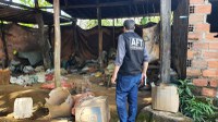 MTE intensifica fiscalização no setor de fogos de artifícios na Bahia