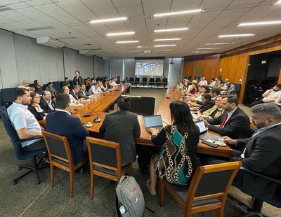 Reunião Conjunta da Rede de Parcerias - Elo Estados e Elo Municípios