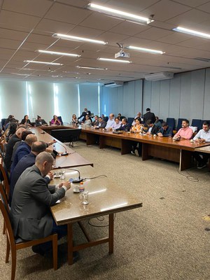 Reunião Conjunta da Rede de Parcerias - Elo Estados e Elo Municípios