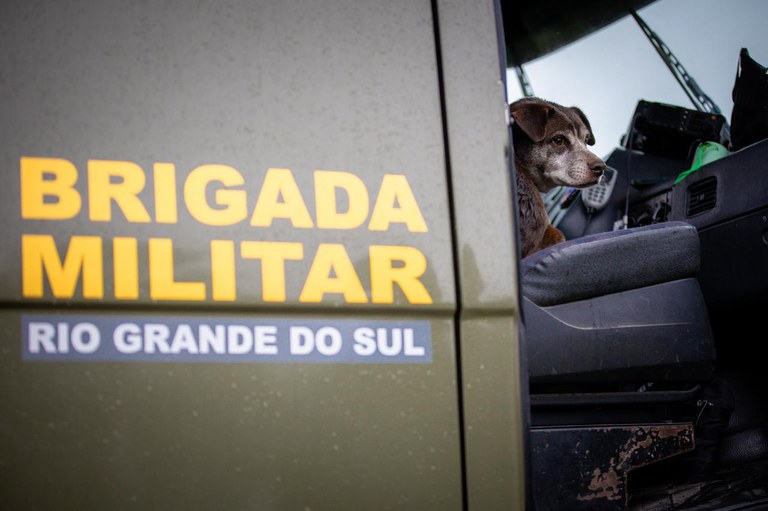 Brigada+militar+e+cachorro.jpeg
