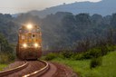 Estrada de Ferro Carajás, no Pará: um dos contratos da Vale em revisão