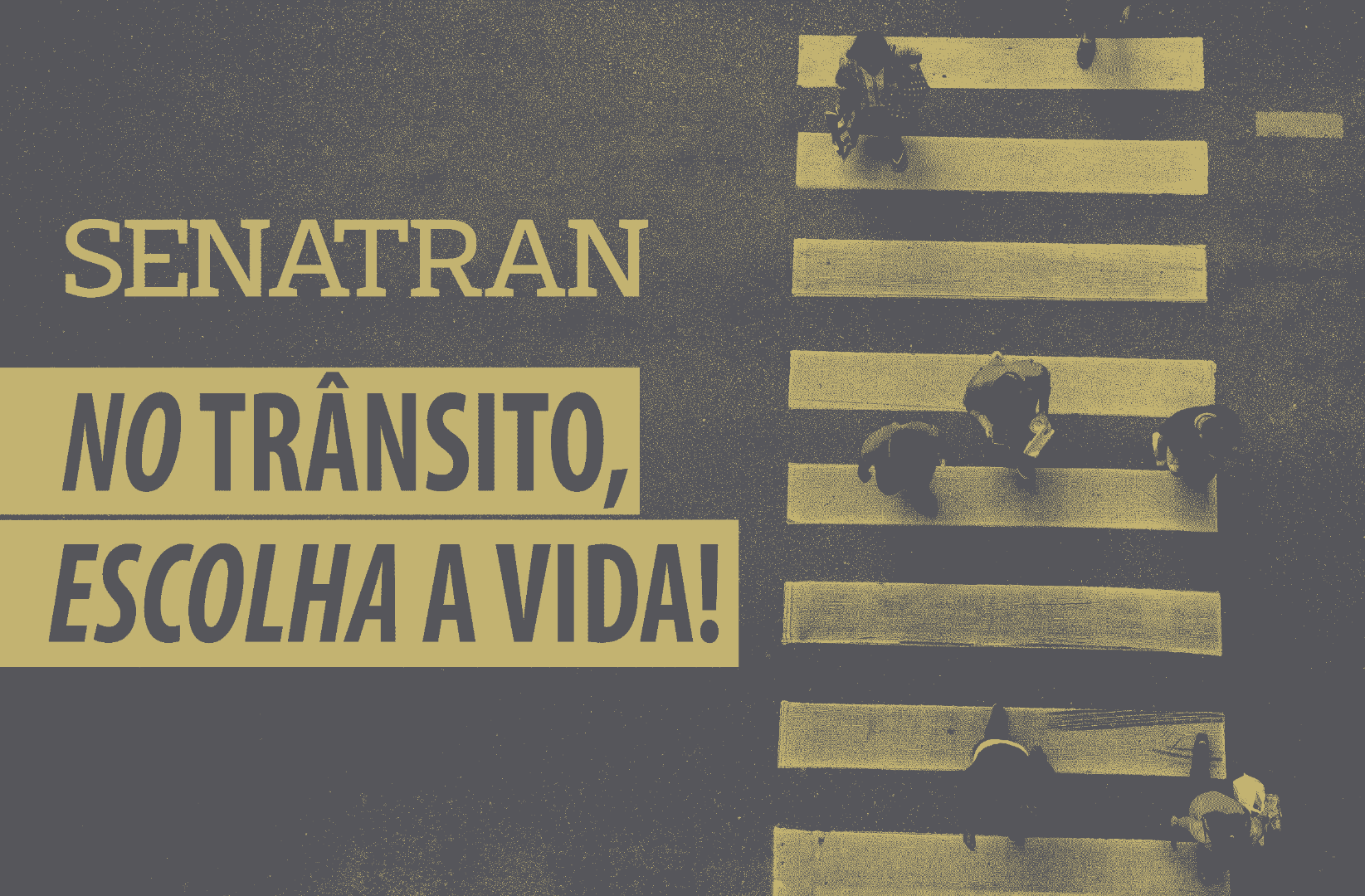 banner-home-nova-identidade-visual