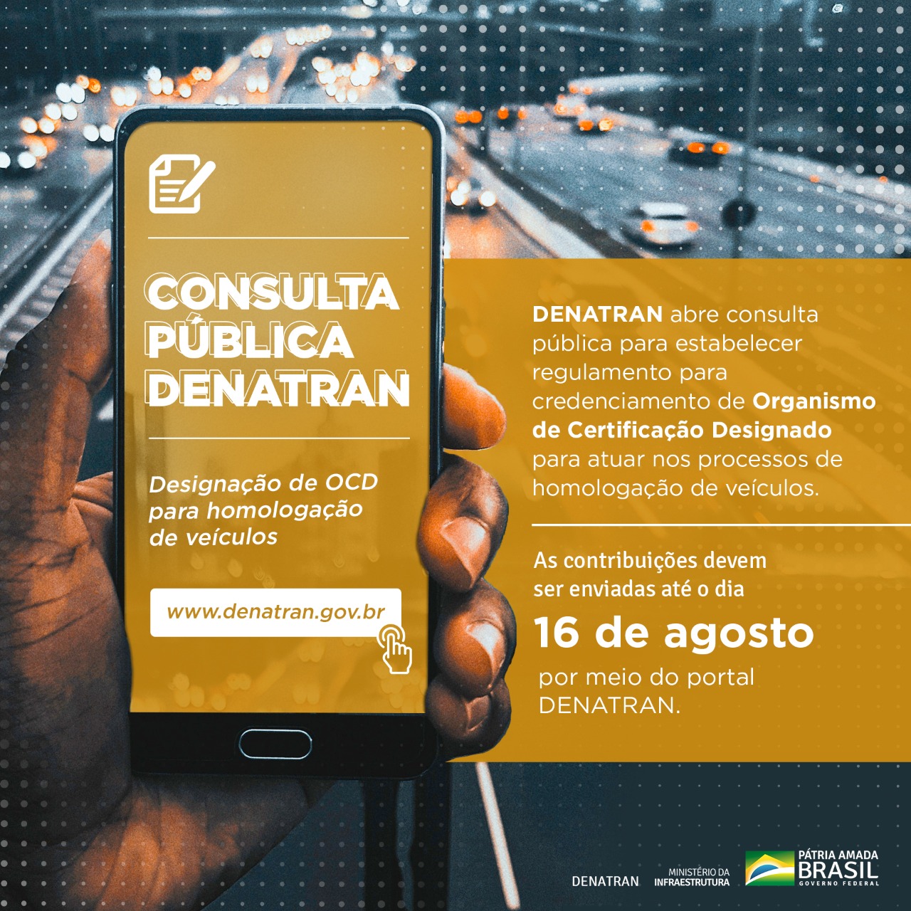 consulta publica CGSV