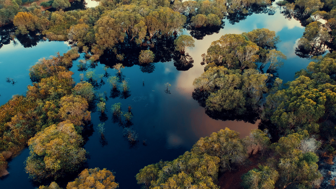 Peões de Pantanal tiram o fôlego da web em ensaio fotográfico. Confira!