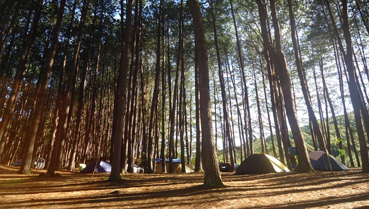 05_11_2015_camping_parque_da_cachoeira.jpg