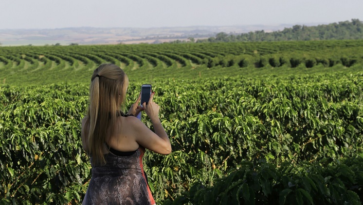 14_04_16_Fazenda_Palmeira_em_Santa_Mariana_Parana_foto_divulgacao.JPG