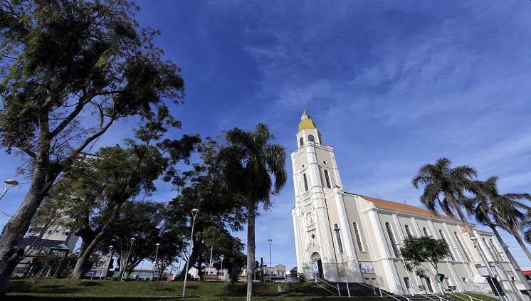 14_07_16_santuario_ns_remedios_araucaria.jpg