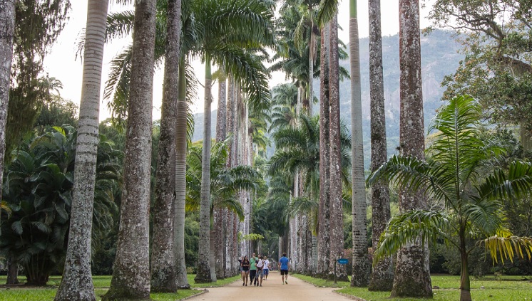 16_08_2016_jardim_botanico_rio_foto_diego_campos.jpg