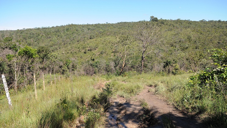 17_01_17_Trilha_Salto_Tororo_Agencia_Brasilia.jpg